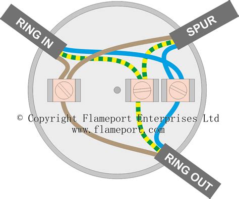 wire junction box with spur|wiring a ring junction box.